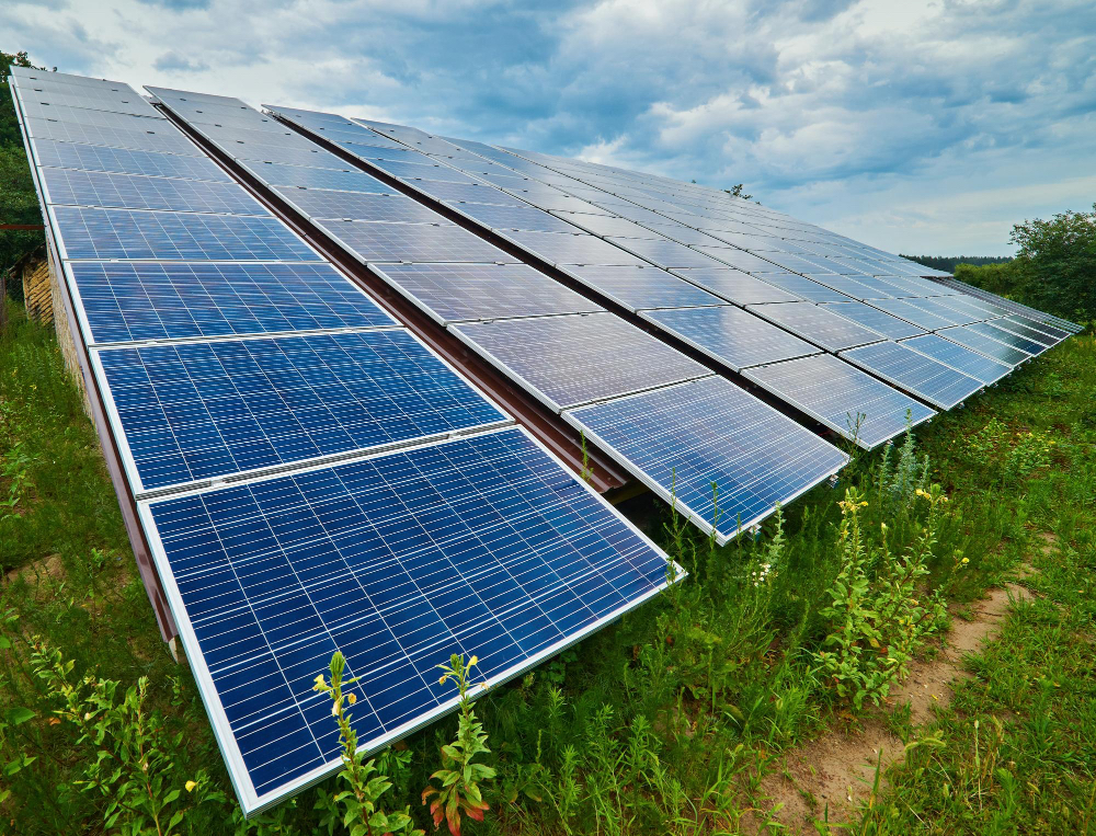Solarindustrie, Paneele (Kontext FDP-Lindner)
