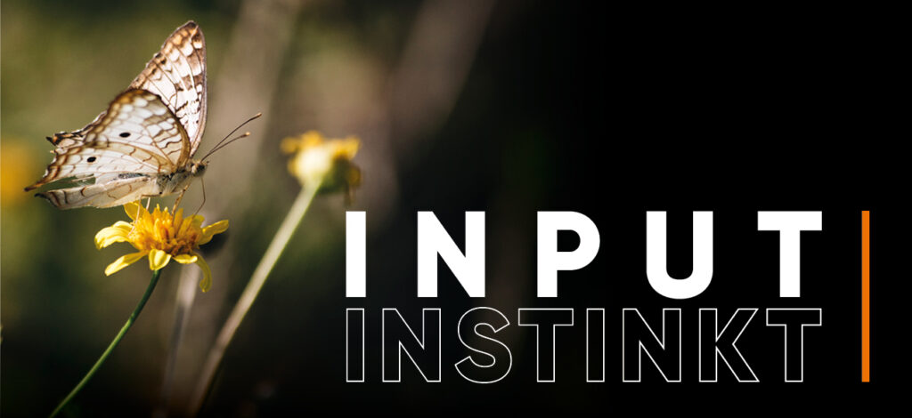 Inputinstinkt - Schmetterling an Löwenzahn